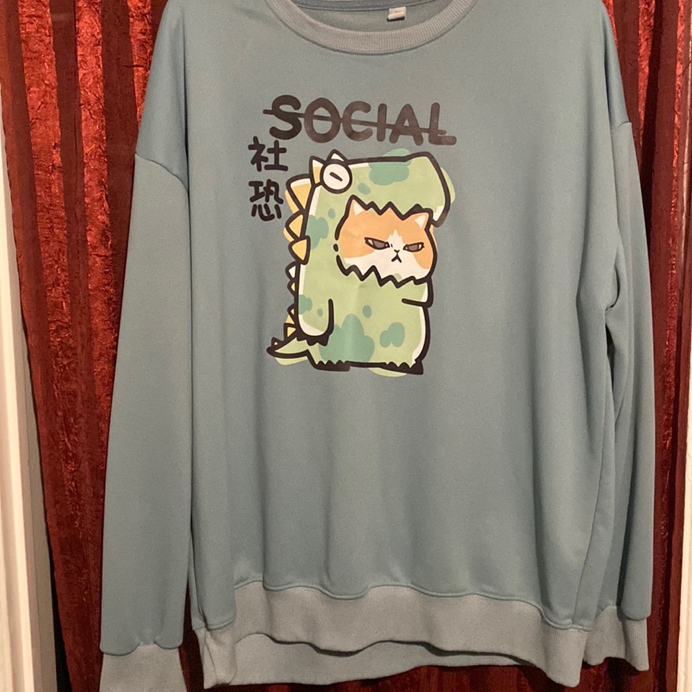 Women’s 2X DTTO sweatshirt